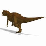 Allosaurus 11 A_0001